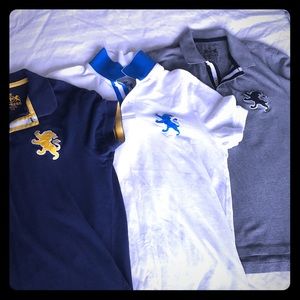 Express Polos - Lot of 3